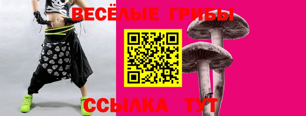 Улан-Удэ  Псилоцибиновые грибы Magic Shrooms  Вход с VPN 